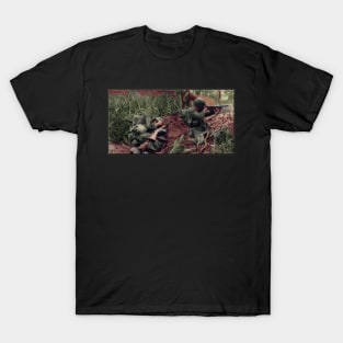 2nd Marine Raiders T-Shirt